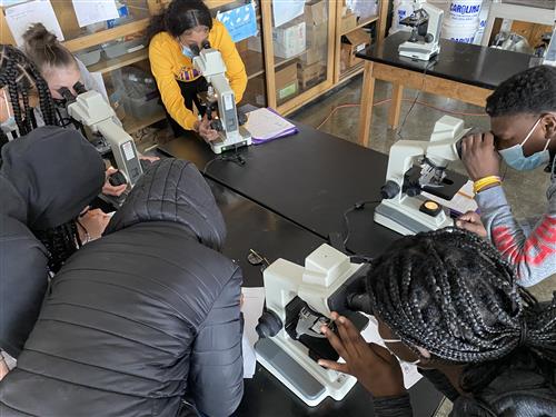 Photo shows students hunched over microscopes, looking at slides of onion root.